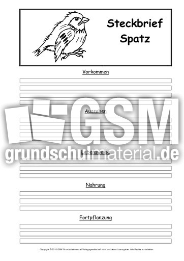 Steckbriefvorlage-Spatz.pdf